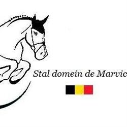vzw domein de Marvic