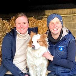 Dierenartsenpraktijk De Wit B.V. Bvba