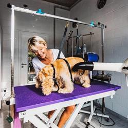 Entre Chien Et Vous