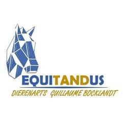 Equitandus - paardentandarts/dierenarts Guillaume Bocklandt