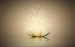 Groepspraktijk Lotus