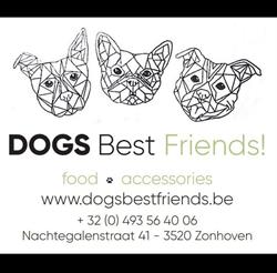 DogsBestFriends