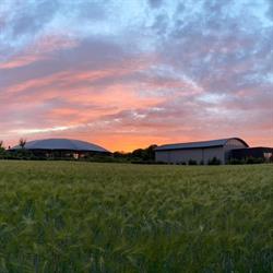 Roundhouse Hoevevlees