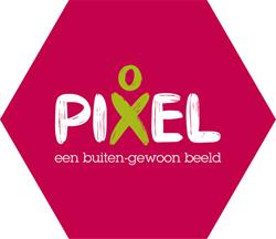 Ondersteuningsteam Pixel