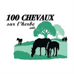100 CHEVAUX SUR L'HERBE