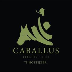 Caballus Horseballclub