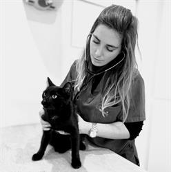 Dierenarts Ilse Kerckhof