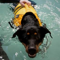 Hydrotherapie Daliez