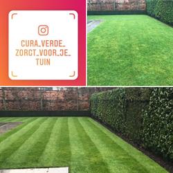 Cura Verde