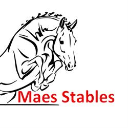 Maes Stables