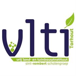 Vlti
