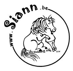 SIANN