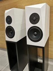 Ms Acoustic