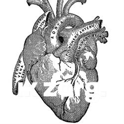 CardioBerchem