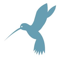 't speelvogeltje