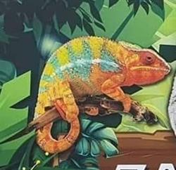 Zanimaux Shop