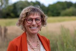 Meet your Mind Coaching