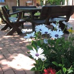 Vakantiewoning Zoetebeek