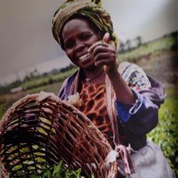 Oxfam Wereldwinkel Erpe-Mere