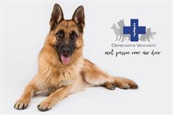 Dierenartsenpraktijk Vanhaste