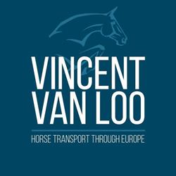 VVL Horses