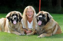 Smart Doggies