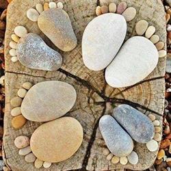Walk of Life Coach