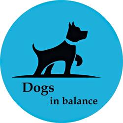 Dogs In Balance
