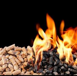 Zimmermans Combustible