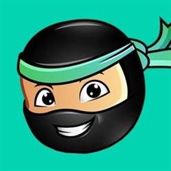 Digital Ninja - Online Marketing & Much More
