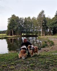 Schotse Collie