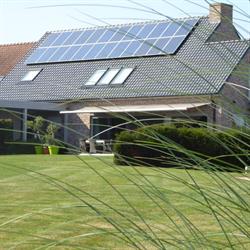 Het Gullegroen