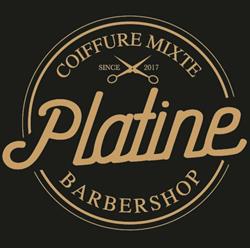 Coiffure Platine Barbier