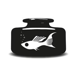 Black Molly Design