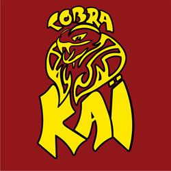 Cobra Kaï Karaté