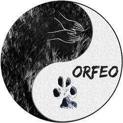 Shiatsu-Orfeo