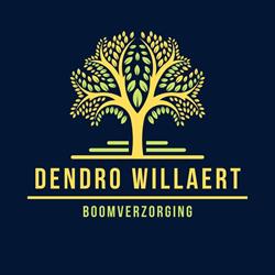 Dendro Willaert