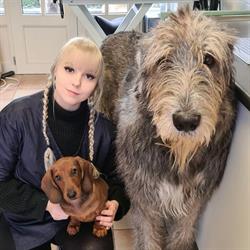 Honden- en Kattentoilettage Lil Puppers