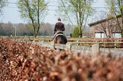 Stal Ter Burcht
