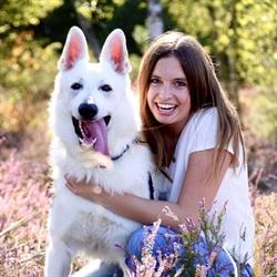 Hondenkapsalon i-Dogs