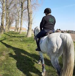 Stal Westdreef