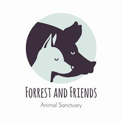 Forrest & Friends Vzw