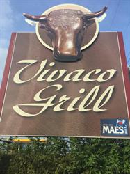 Vivaco Grill