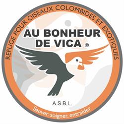 Au Bonheur De Vica Asbl
