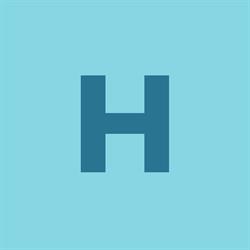 Handcarwash putte