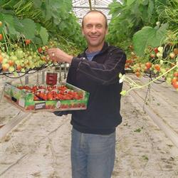 De Vrolijke Aardbei