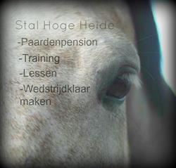 Stal Hoge Heide