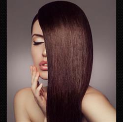 Coiffure Elegance Ladie's