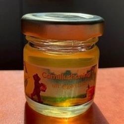 GZA WZC Sint-Camillus
