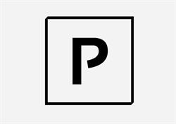 P-Polish
